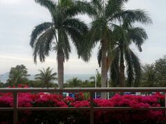 android_upload_pic-三亚亚龙湾金棕榈度假酒店