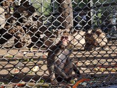 -长白岛森林公园