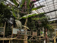 -呀路古热带植物园