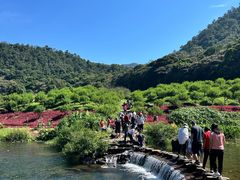 -广州市石门国家森林公园