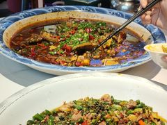 -新概念来凤鱼(璧山店)
