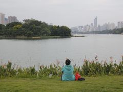 -南宁南湖公园