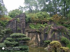 -南山植物园