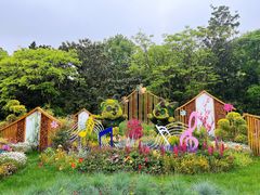 -上海共青森林公园