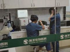 -瑞派紫金宠物医院24小时·骨科·中兽医·重症转诊中心(番禺大石院)