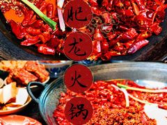 -肥龙火锅(南坪店)