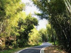 -广州市流溪河国家森林公园