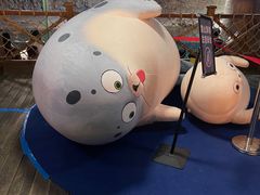 -海合安青岛极地海洋公园