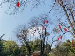-望江楼公园