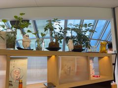 -长风拨筋养身(金虹桥店)