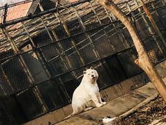 -石家庄市动物园