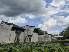 -汪记土菜(岩寺店)