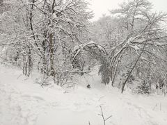-九峰山