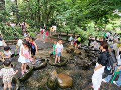 -成都市活水公园