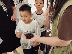 -上海昆虫博物馆