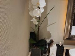 -Dragonfly悠庭·按摩Spa(浦东嘉里城店)