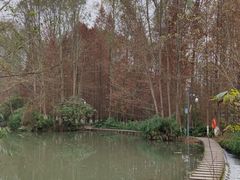 -桤木河湿地公园