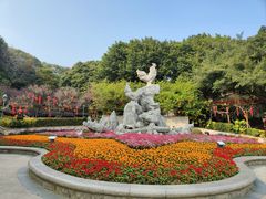 -金鸡山公园