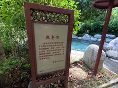 -英德宝晶宫天鹅湖茶语温泉