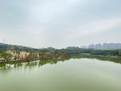 -东莞植物园