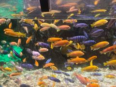 -太平洋海底世界