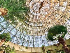 -西峡恐龙遗迹园