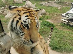 -西安秦岭野生动物园