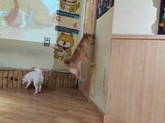 -大悦城(沈阳中街店)