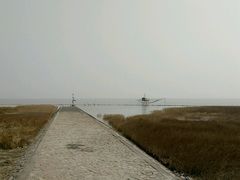 -南汇嘴观海公园