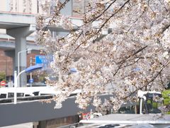 -上海南浦大桥长途旅游客运站