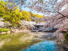 -惠山古镇·寄畅园