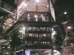 -Rainforest