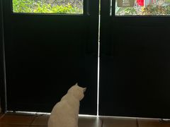 -彳亍咖啡·这里(水湾路店)