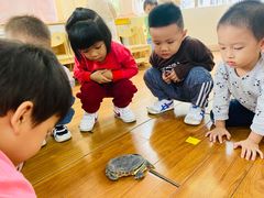 -江门市中天国际艺术幼儿园