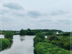 -大湾区中央湿地公园