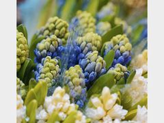 -双季花艺园艺市场(浦东店)