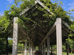 -嘉北郊野公园