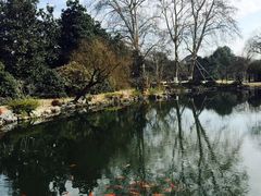 -西湖外事游船(花港观鱼码头)