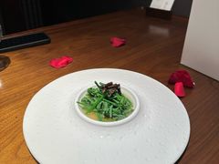 -觀芷隐轩