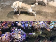 -石林冰雪海洋世界