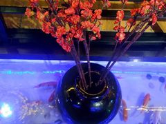 -玉善烧烤串城(长春总店)