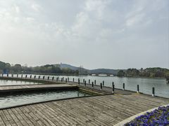-渤公岛生态公园