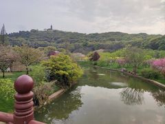 -苏州上方山国家森林公园
