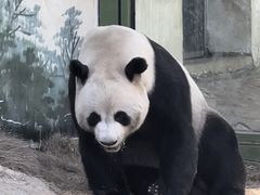 -栾川竹海野生动物园