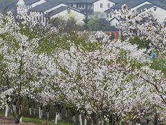 -宜兴龙背山森林公园