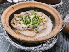 -红星光发煲仔饭(大石街店)