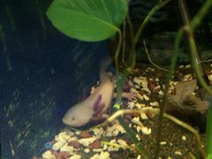 android_upload_pic-上海大自然野生昆虫馆