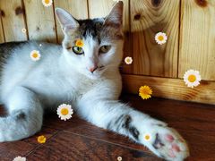 -251#coffee roasters(沿河东路店)