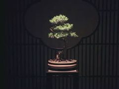 -见山茶事(丽水路店)
