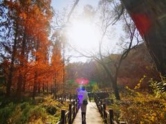 -国家植物园南园